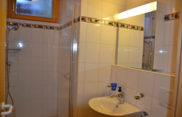 Appartement 4 pièces sous les combles d’un grand chalet – à vendre