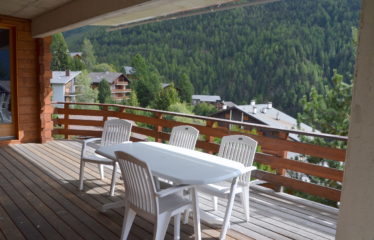 Appartement 4 pièces avec terrasse plein sud – à vendre
