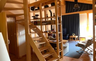 Appartement 4 pièces sous les combles d’un grand chalet – à vendre