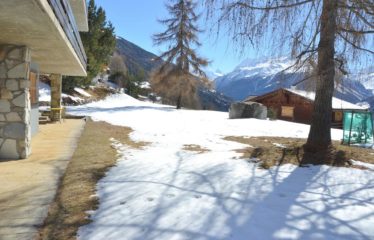 Charmant appartement au rez-de-chaussée avec vue sur le Cervin
