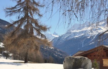 Charmant appartement au rez-de-chaussée avec vue sur le Cervin