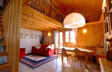 Chalet mitoyen avec studio indépendant et vue dégagée – à vendre