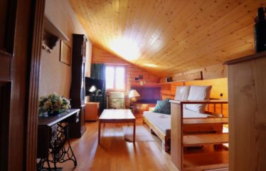 Chalet mitoyen avec studio indépendant et vue dégagée – à vendre