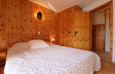 Chalet mitoyen avec studio indépendant et vue dégagée – à vendre