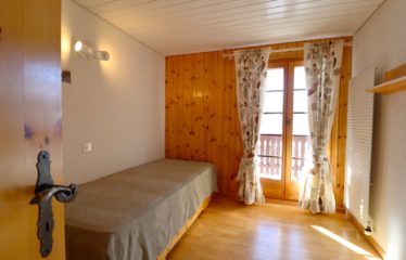 Chalet mitoyen avec studio indépendant et vue dégagée – à vendre