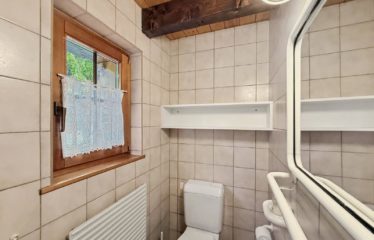 Chalet jumelé avec studio indépendant et belle vue dégagée – à vendre