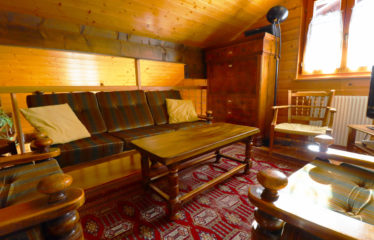 Chalet jumelé avec studio indépendant et belle vue dégagée – à vendre