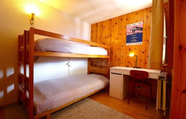 Chalet jumelé avec studio indépendant et belle vue dégagée – à vendre