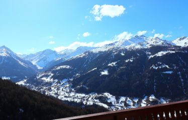 Chalet jumelé avec studio indépendant et belle vue dégagée – à vendre