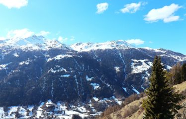Chalet jumelé avec studio indépendant et belle vue dégagée – à vendre