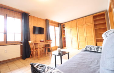 Studio à St-Luc (location à la saison)