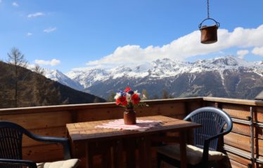Appartement 2 pièces au début du village de Chandolin – à vendre