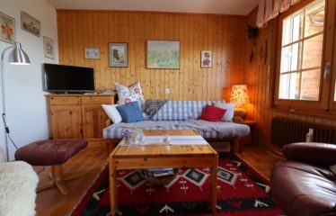 Appartement 2 pièces au début du village de Chandolin – à vendre