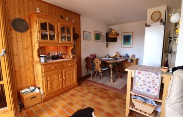 Appartement 2 pièces au début du village de Chandolin – à vendre