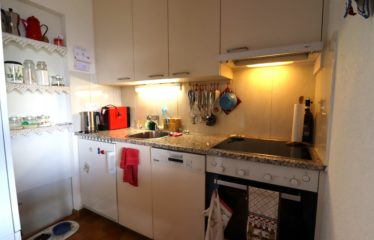 Appartement 2 pièces au début du village de Chandolin – à vendre