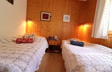 Appartement 2 pièces au début du village de Chandolin – à vendre