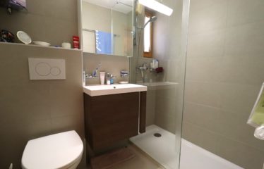 Appartement 2 pièces au début du village de Chandolin – à vendre