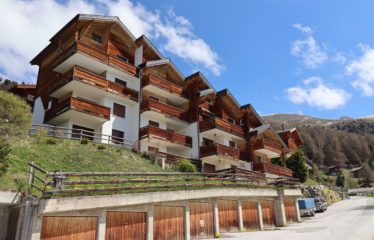 Appartement 2 pièces au début du village de Chandolin – à vendre