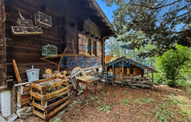 Superbe chalet et ses deux raccards – à vendre