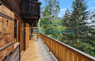 Superbe chalet et ses deux raccards – à vendre