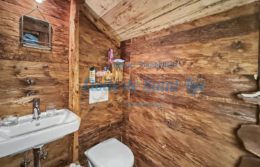 Superbe chalet et ses deux raccards – à vendre