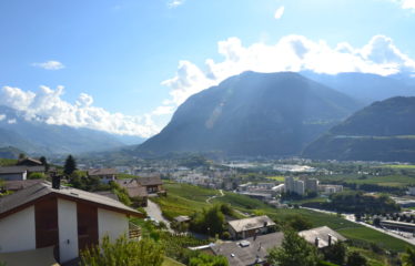 Appartement lumineux 3,5 pièces – à Corin-de-la-Crête